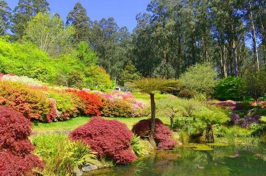 Tour Du Lịch Mùa Hè ÚC: SYDNEY – MELBOURNE - 8N7Đ