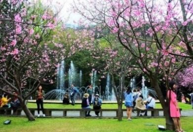 Tour Du Lịch ĐÀI LOAN 5N4Đ